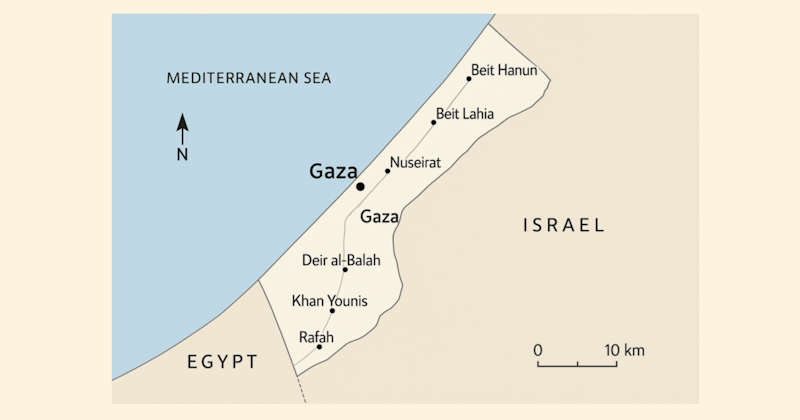 Jay Rothman is Back Graphic