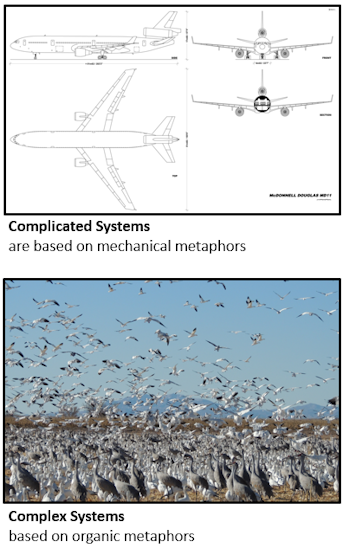 Blueprint / Bird Flock Graphic