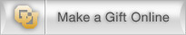 Give Online